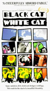 Crna mačka, beli mačor